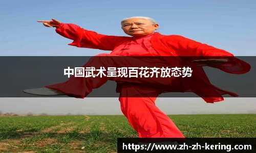 中国武术呈现百花齐放态势